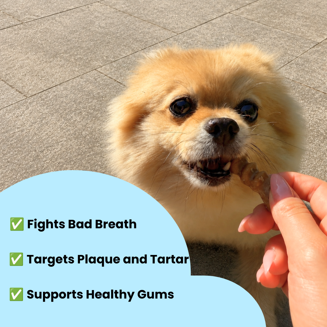 A fluffy light brown dog is shown outdoors while a human hand offers it a treat. A light blue text bubble on the left lists benefits: 'Fights Bad Breath,' 'Targets Plaque and Tartar,' and 'Supports Healthy Gums.