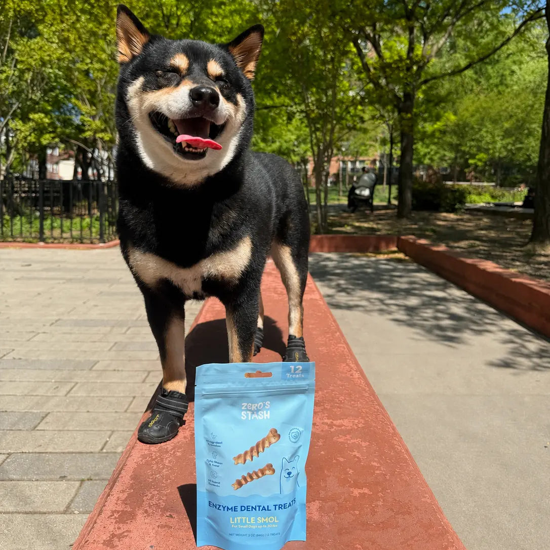 Enzyme Dental Treat - Little Smol Zero's Stash
