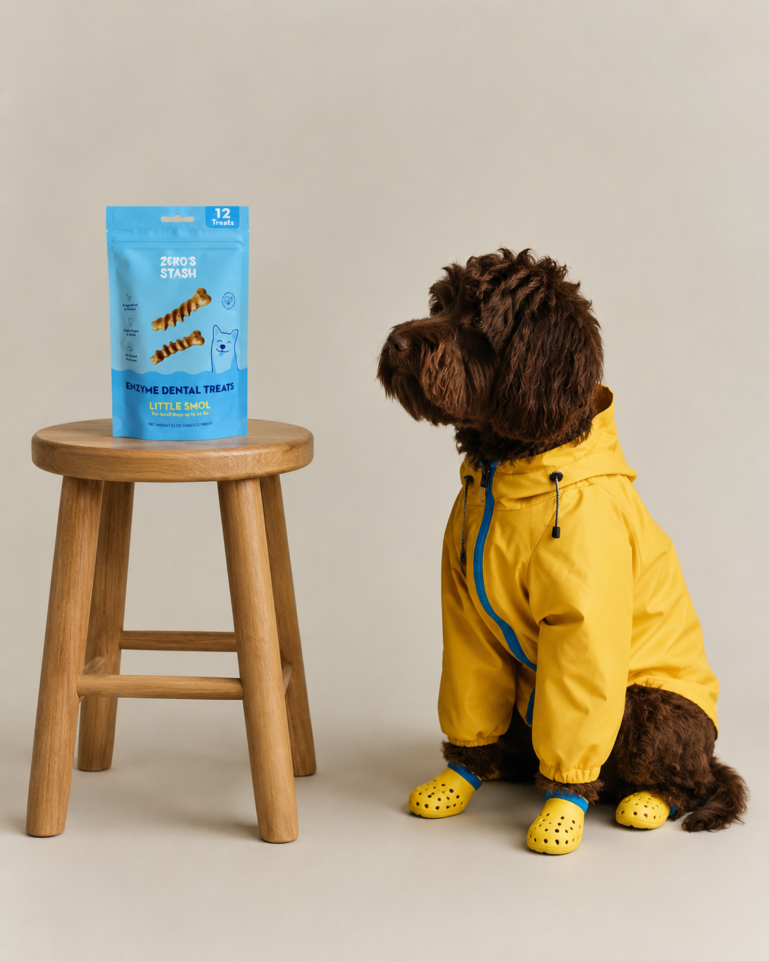 A brown dog wearing a yellow raincoat and yellow booties sits beside a wooden stool with a blue bag of Zumbo Sturg dental treats on top, against a plain beige studio background.
