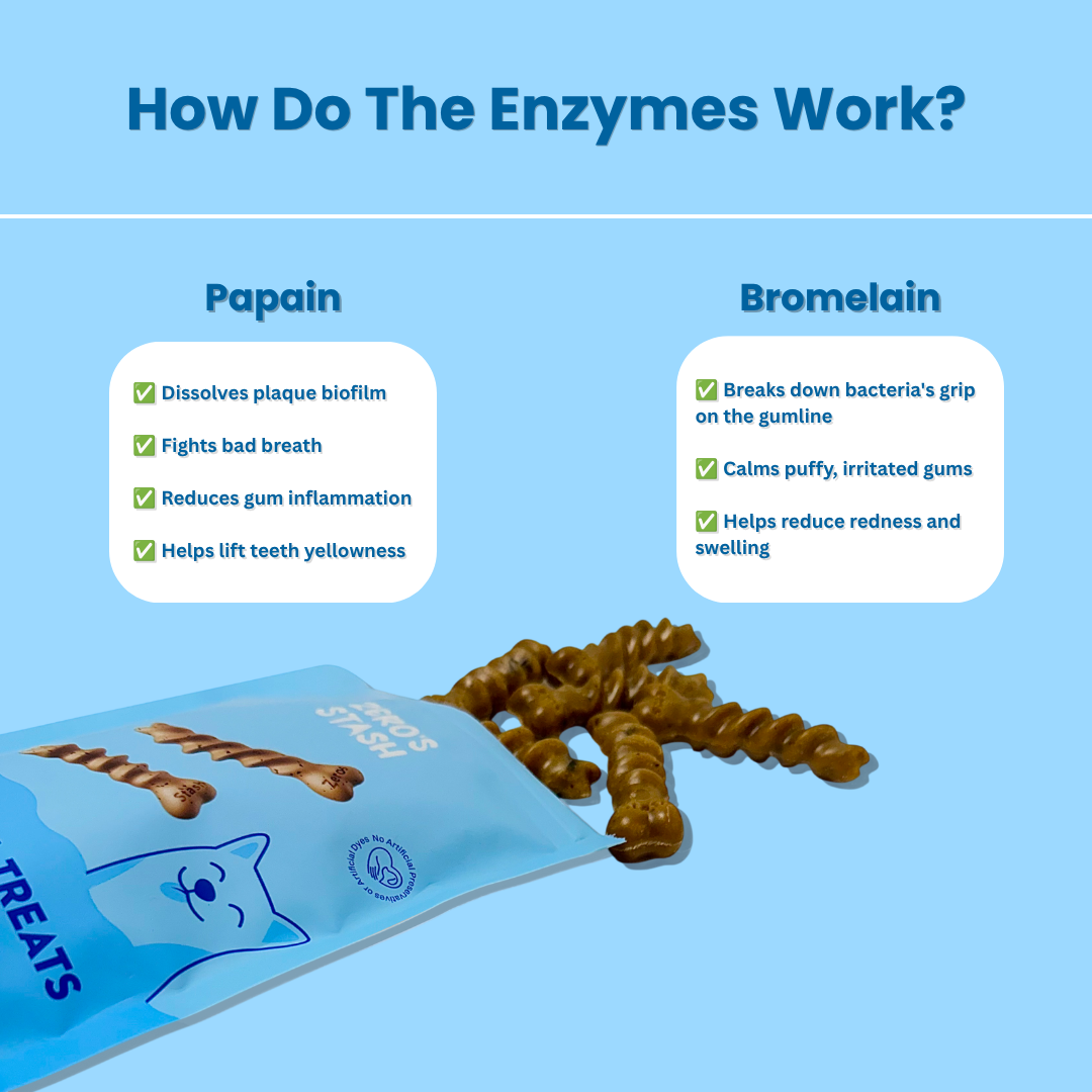 Educational infographic titled 'How Do The Enzymes Work?' showing two product boxes labeled Papain and Bromelain with brown spiral enzyme treats spilling out, on a light blue background.