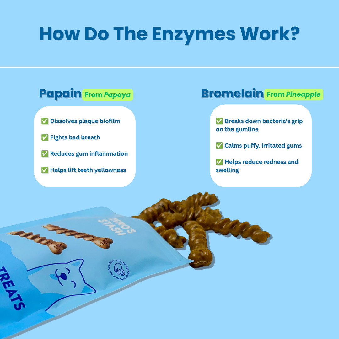 An infographic titled 'How Do The Enzymes Work?' on a light blue background, showing a blue bag of dental treats with brown spiral-shaped enzymes spilling out. Text explains benefits of Papain from papaya and Bromelain from pineapple.