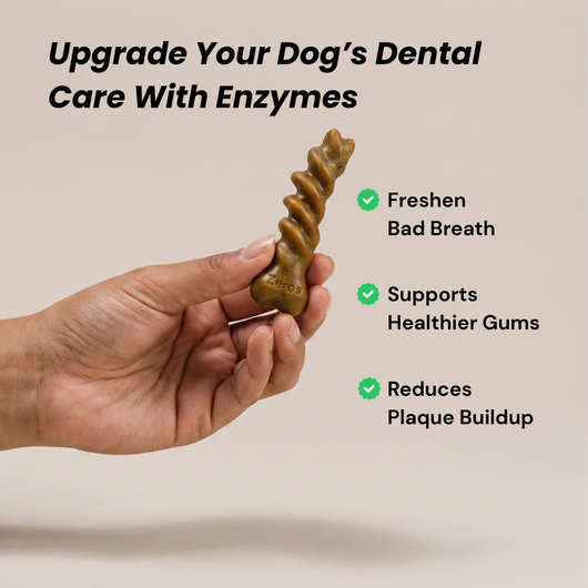 A hand holds a brown spiral-shaped dog dental enzyme chew against a light beige background, with promotional text reading 'Upgrade Your Dog’s Dental Care With Enzymes' and bullet points about freshen bad breath, healthier gums, and reduced plaque buildup.