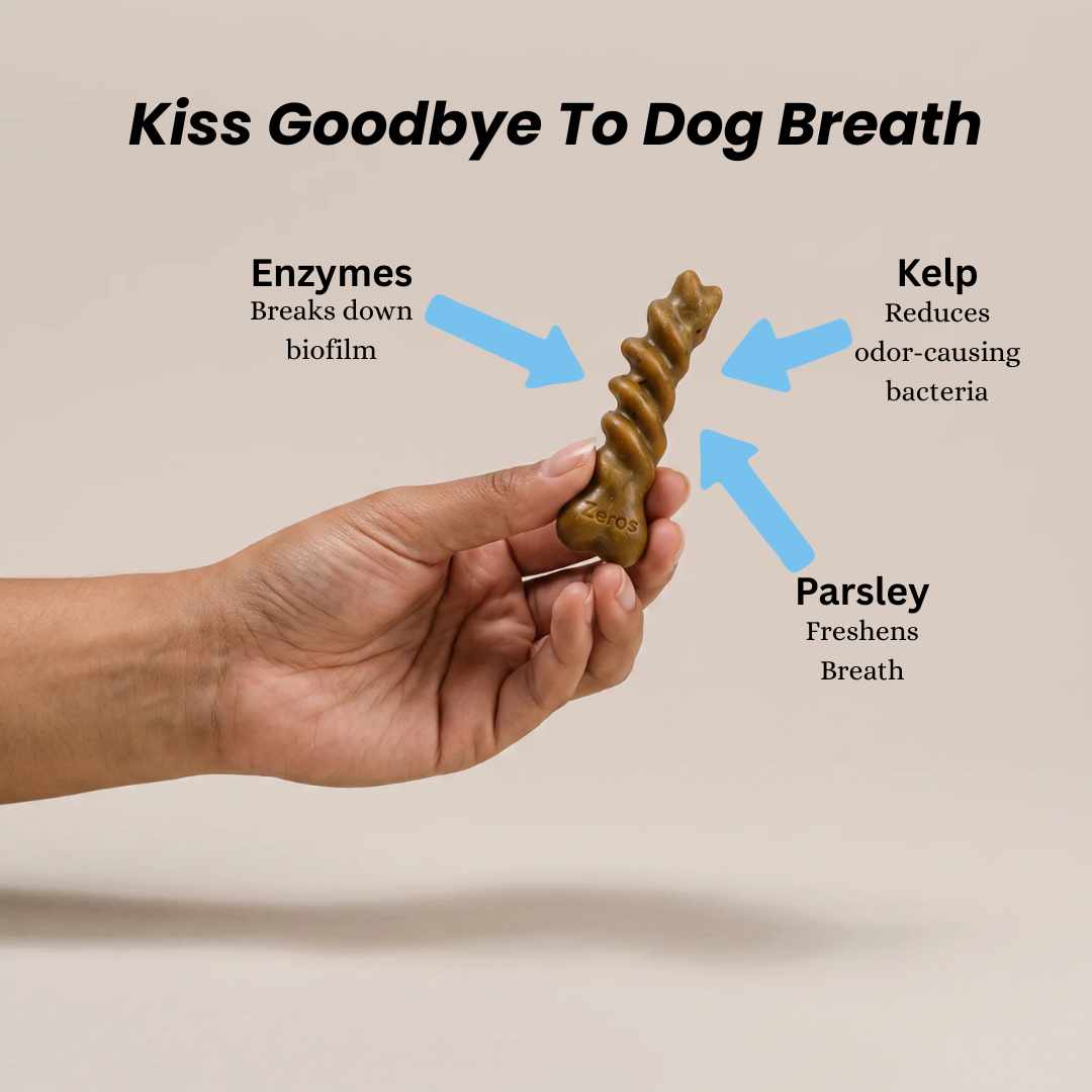 A hand holds a brown spiral-shaped dog chew against a light beige background, with text and blue arrows explaining ingredients: enzymes, kelp, and parsley for breath freshness.