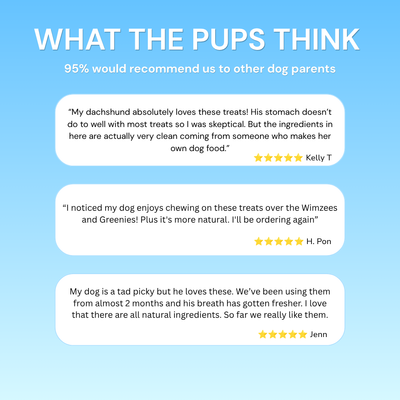 Three white review cards with customer testimonials and five-star ratings on a light blue background.