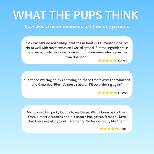 Three white review cards with customer testimonials and five-star ratings on a light blue background.