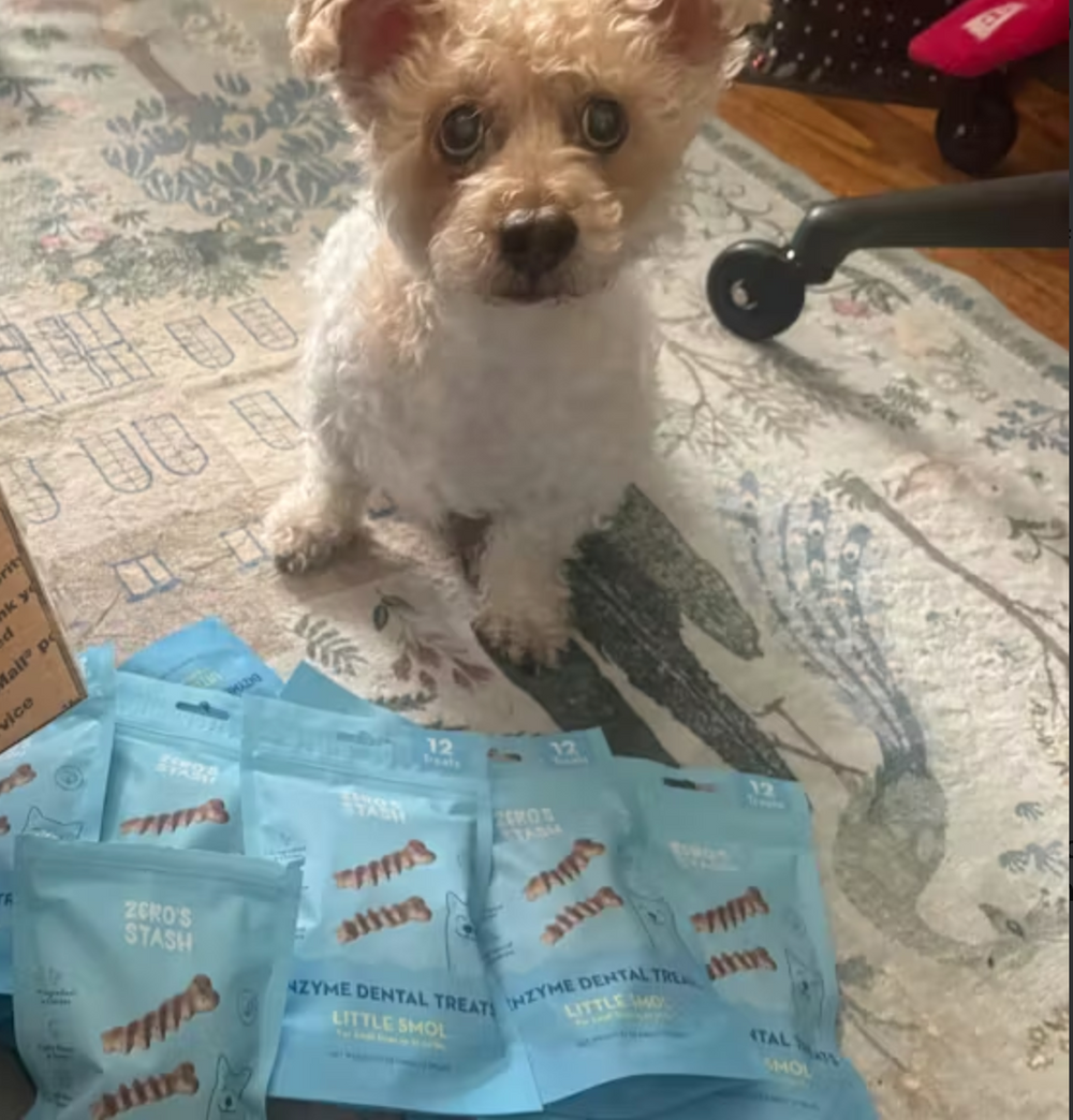 <p></p><h2>Real results from real dog parents</h2><p></p>