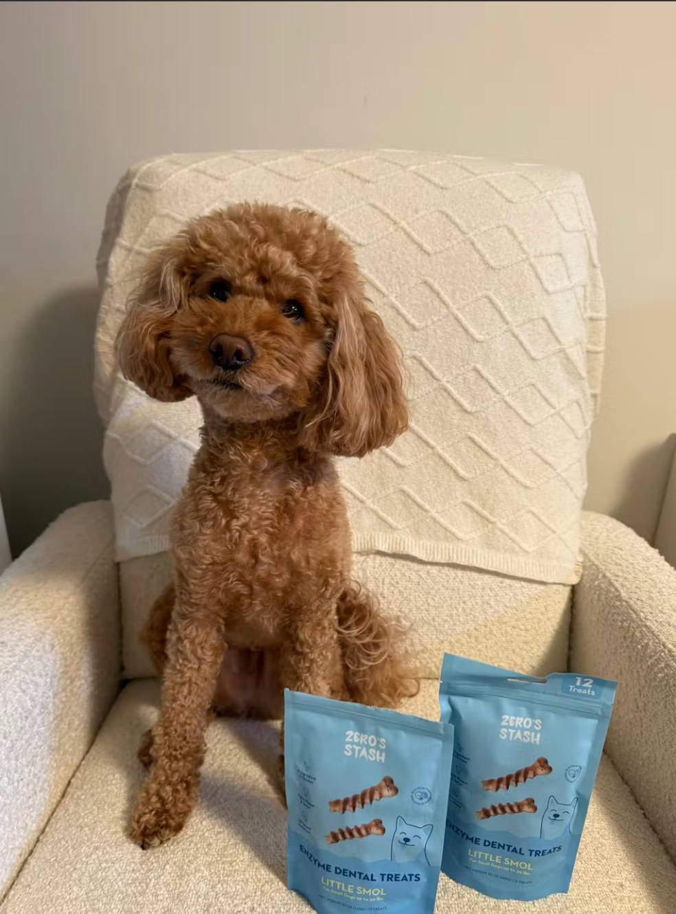 <p></p><h2>Real results from real dog parents</h2><p></p>