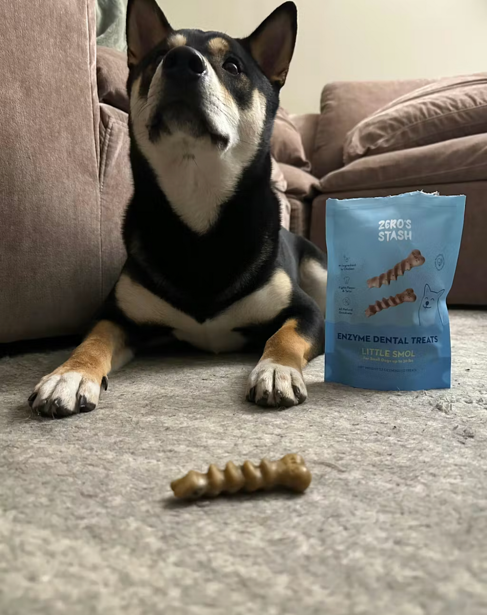 <p></p><h2>Real results from real dog parents</h2><p></p>