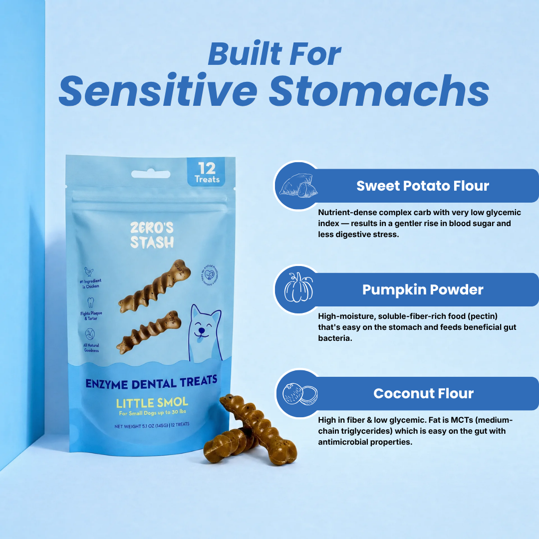 A package of Stash Enzyme Dental Treats for sensitive stomachs, shown on a light blue background with descriptive text callouts for Sweet Potato Flour, Pumpkin Powder, and Coconut Flour.
