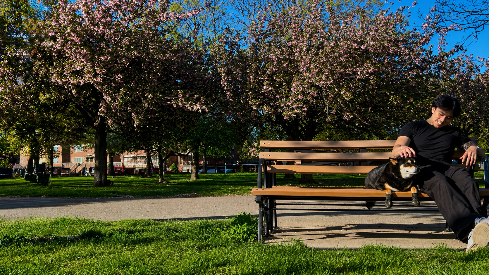 Man and dog sitting on a bench