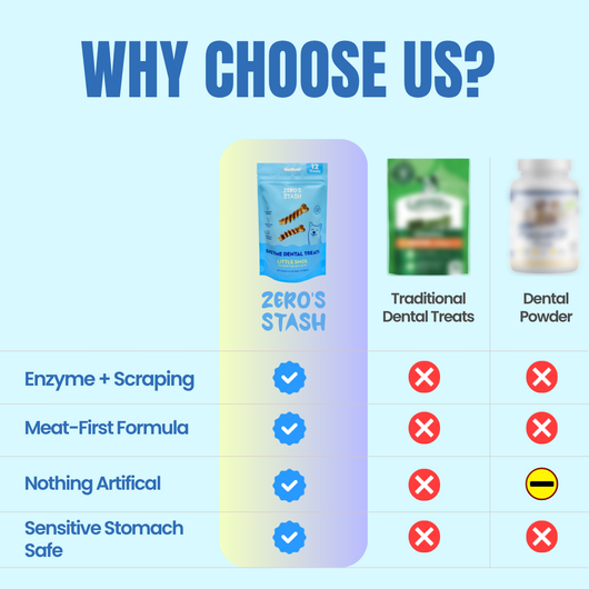 A comparison infographic titled 'WHY CHOOSE US?' showing a pet dental treat pouch labeled 'ZERO'S STASH' in the center, with columns comparing it to 'Traditional Dental Treats' and 'Dental Powder.' The chart lists four benefits: Enzyme + Scraping, Meat-First Formula, Nothing Artificial, and Sensitive Stomach Safe, using blue text, red X marks, and a yellow circle with a minus sign.