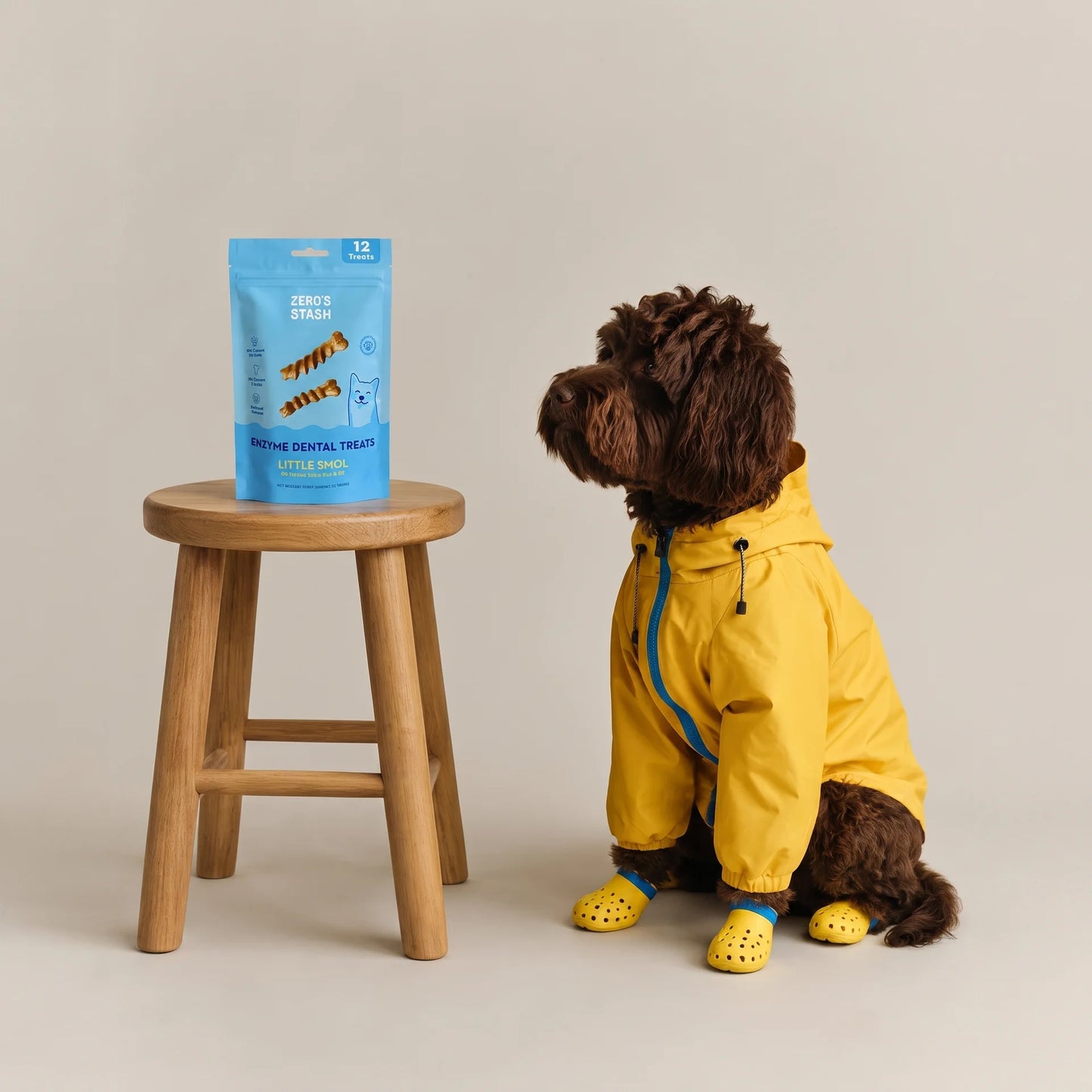 A small brown dog wearing a yellow raincoat and yellow booties sits beside a wooden stool with a blue bag of dog dental treats on a plain light beige studio background.